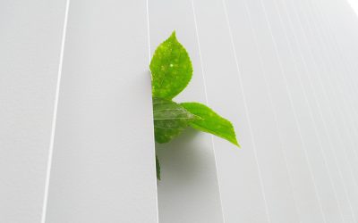 Tecnología Winnow, un camino al  zero waste