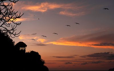 Celebra Thanksgiving frente al mar, en el Pacífico mexicano