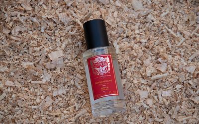Ahuehuete, la historia de México en un aroma