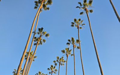 San Diego: el plan perfecto para un viaje entre amigas antes de tu gran día